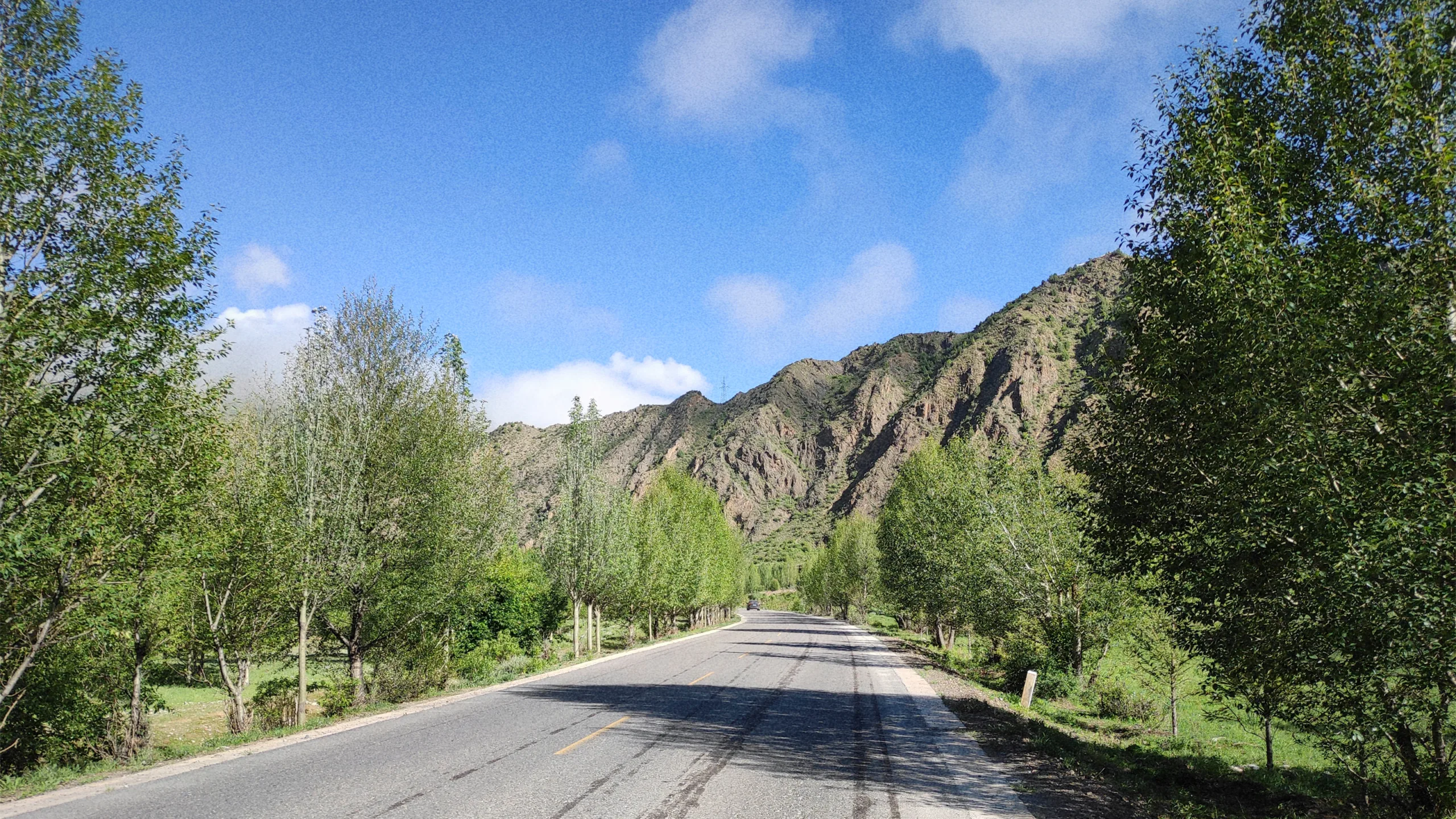 Day 16 – As If in Xinjiang
