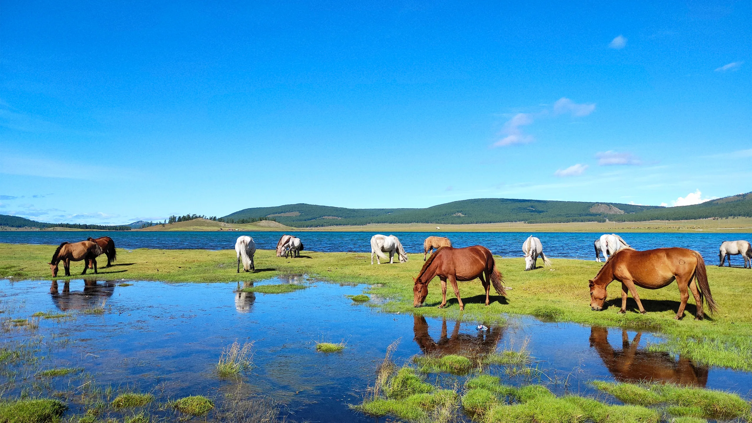 Series: Glimpses of Mongolia